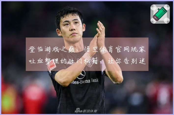 登临游戏之巅，悟空体育官网玩家吐血整理的独门秘籍，让你告别迷茫，玩转新版本！