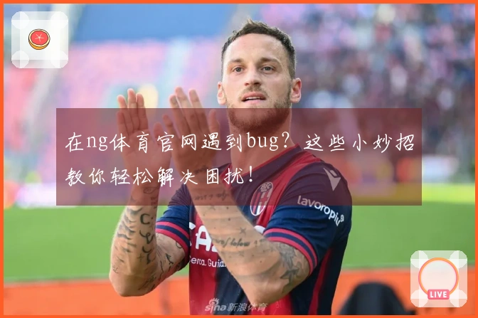 在ng体育官网遇到bug？这些小妙招教你轻松解决困扰！