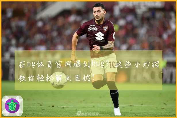 在ng体育官网遇到bug？这些小妙招教你轻松解决困扰！